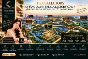 Hạ Tầng Quanh The Collectors' Đông Tăng Long Có Gì?